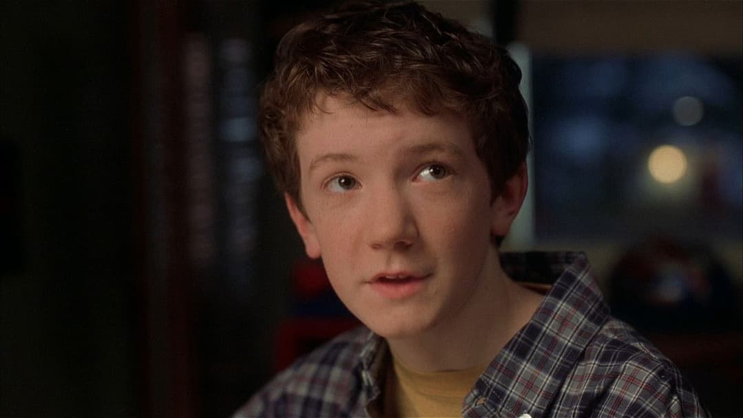 School of Life backdrop 8