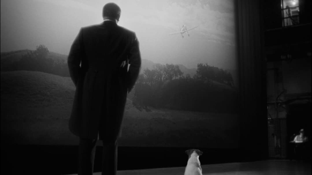 Артист backdrop 9