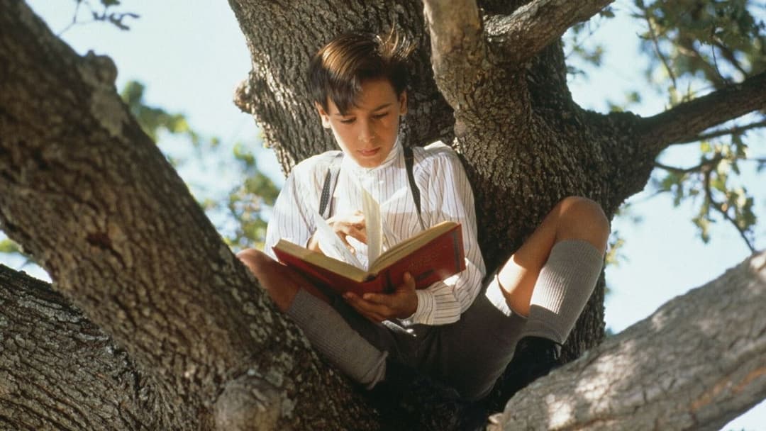 Der Ruhm meines Vaters backdrop 4