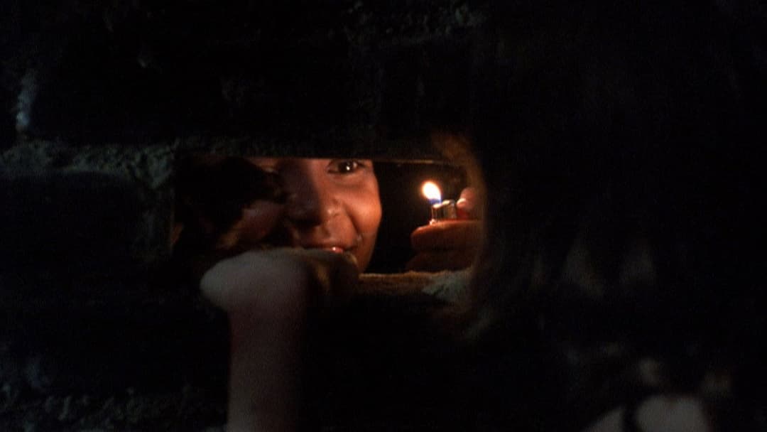 Das Haus der Vergessenen backdrop 10