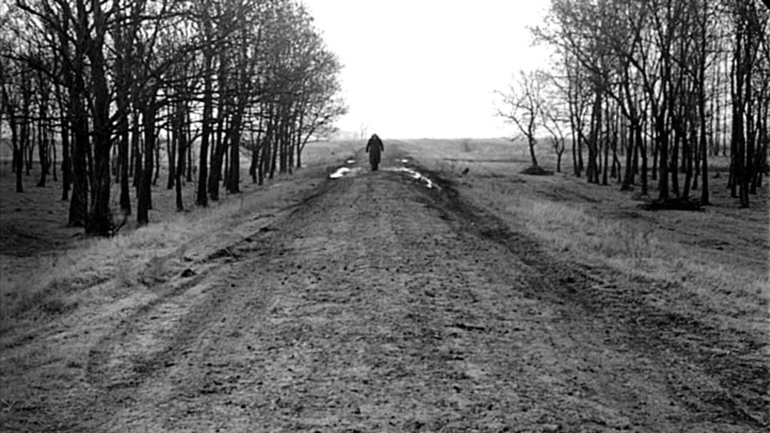 Satantango backdrop 15