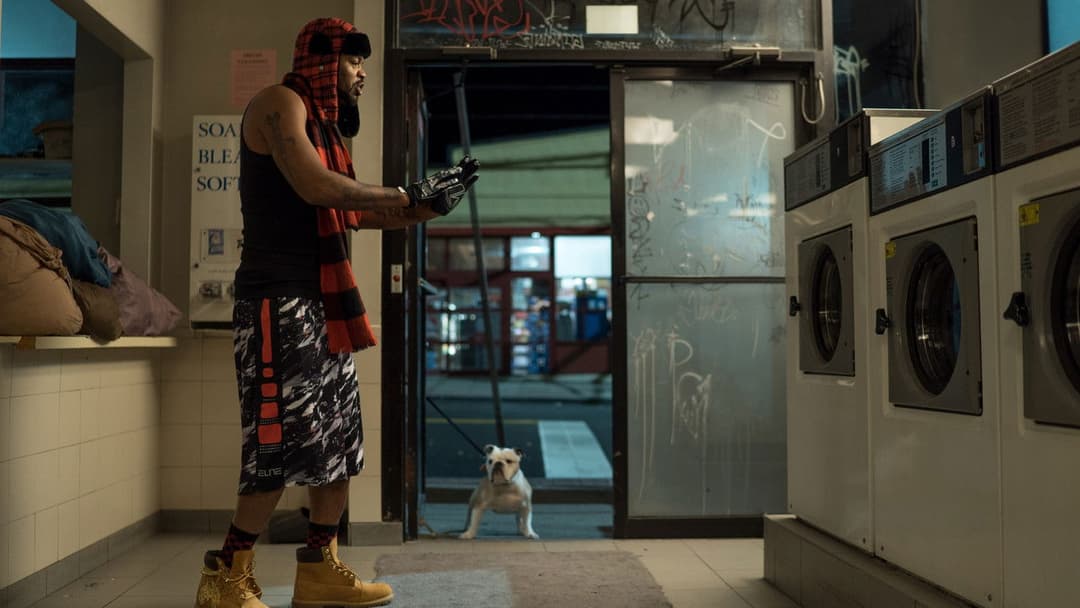 Paterson backdrop 20