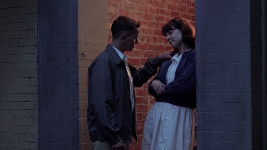 Dogfight backdrop 14