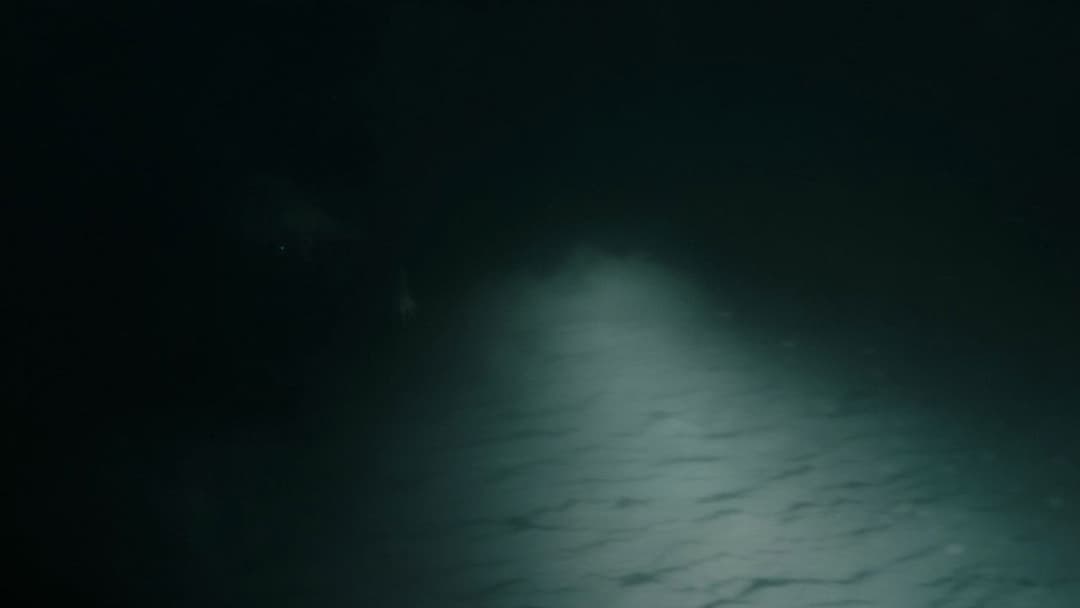 Underwater backdrop 11