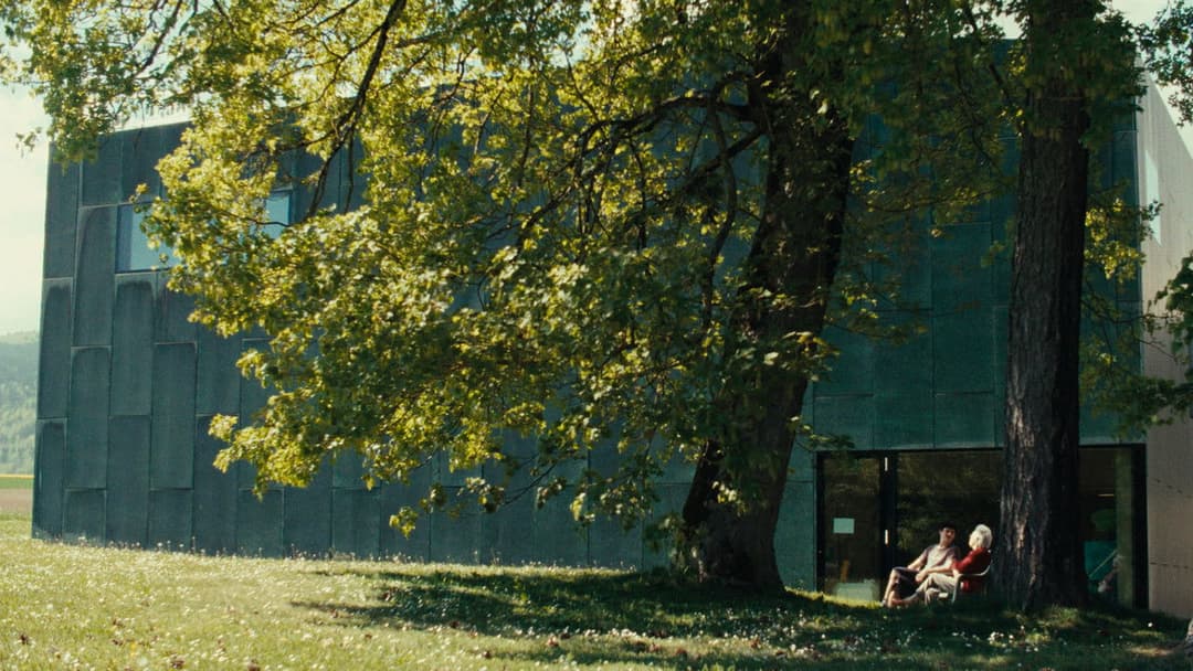 Madame Favre's backdrop 1