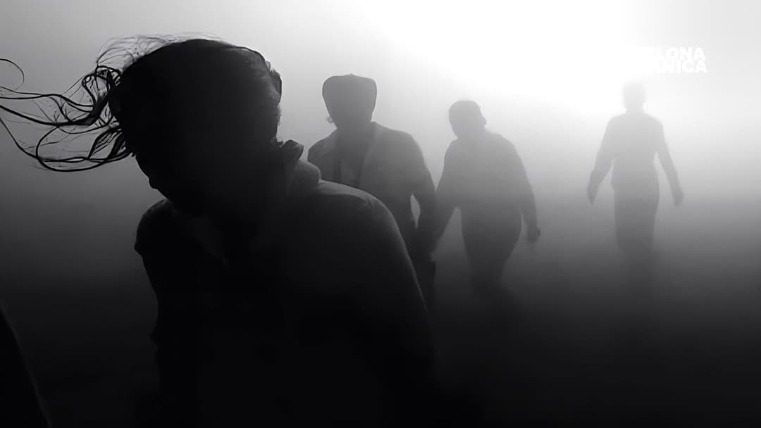 Зелений кордон backdrop 1