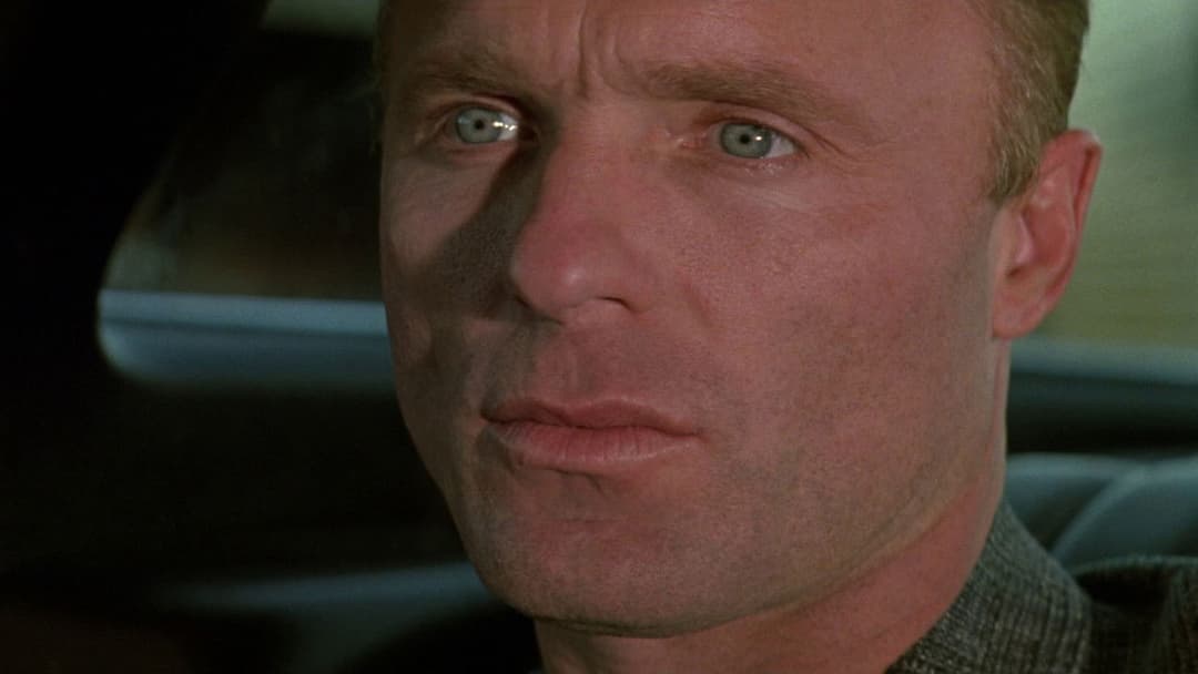 Порцеляновий місяць backdrop 6