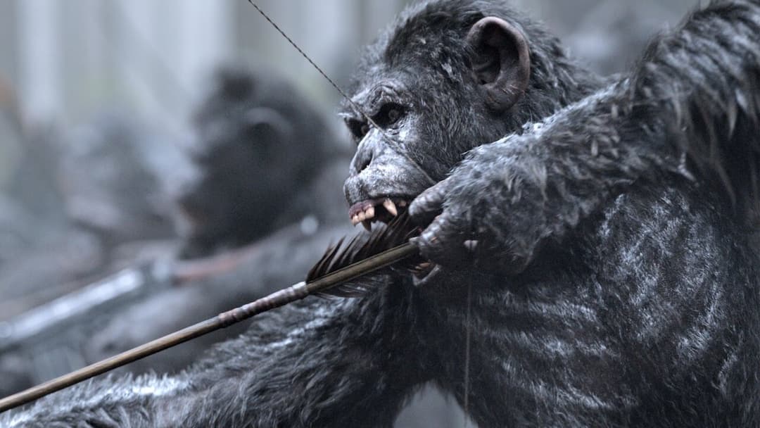 War for the Planet of the Apes backdrop 18