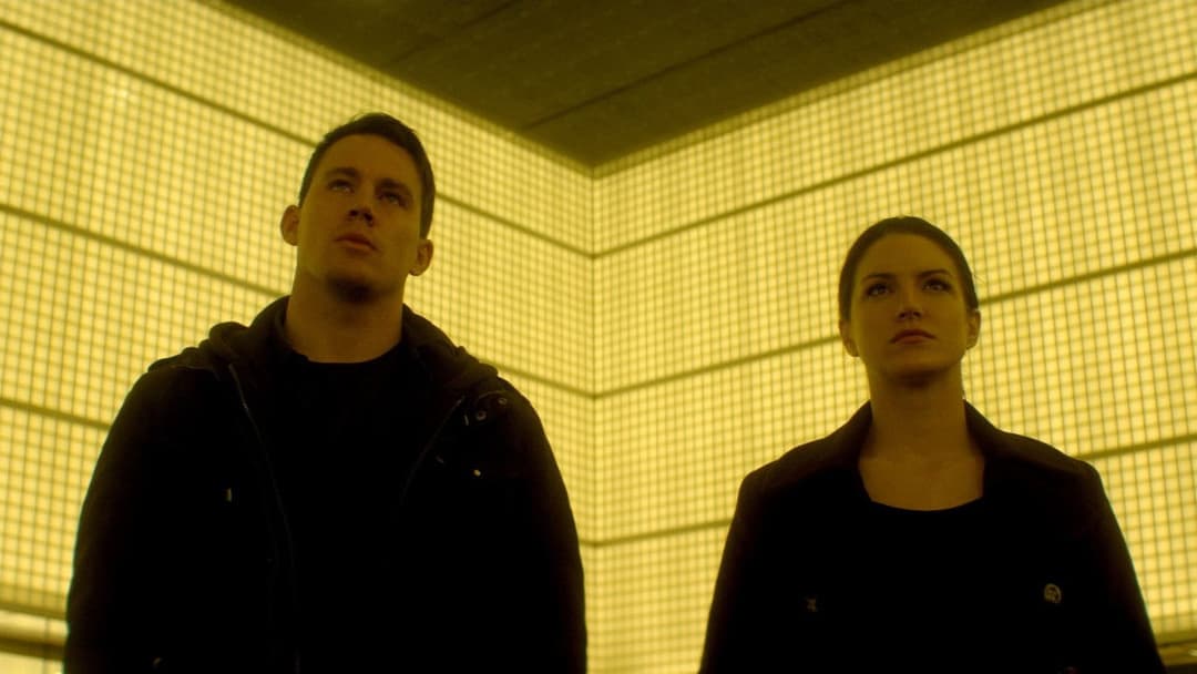 Haywire - Trau’ keinem backdrop 17