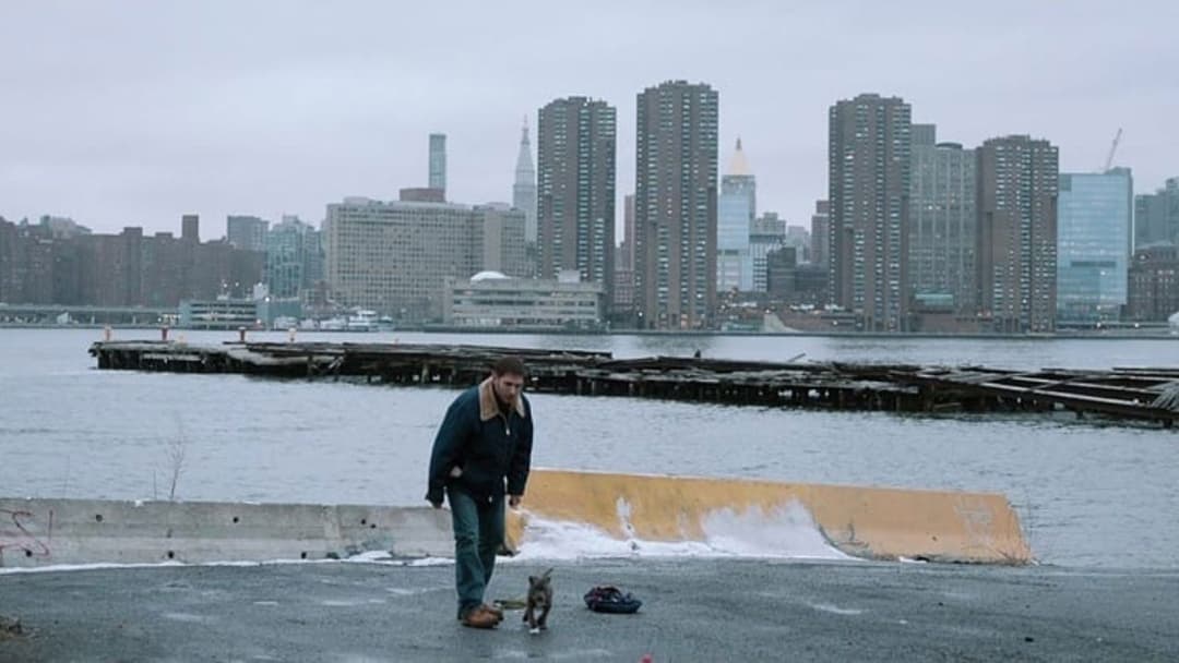 The Drop backdrop 10