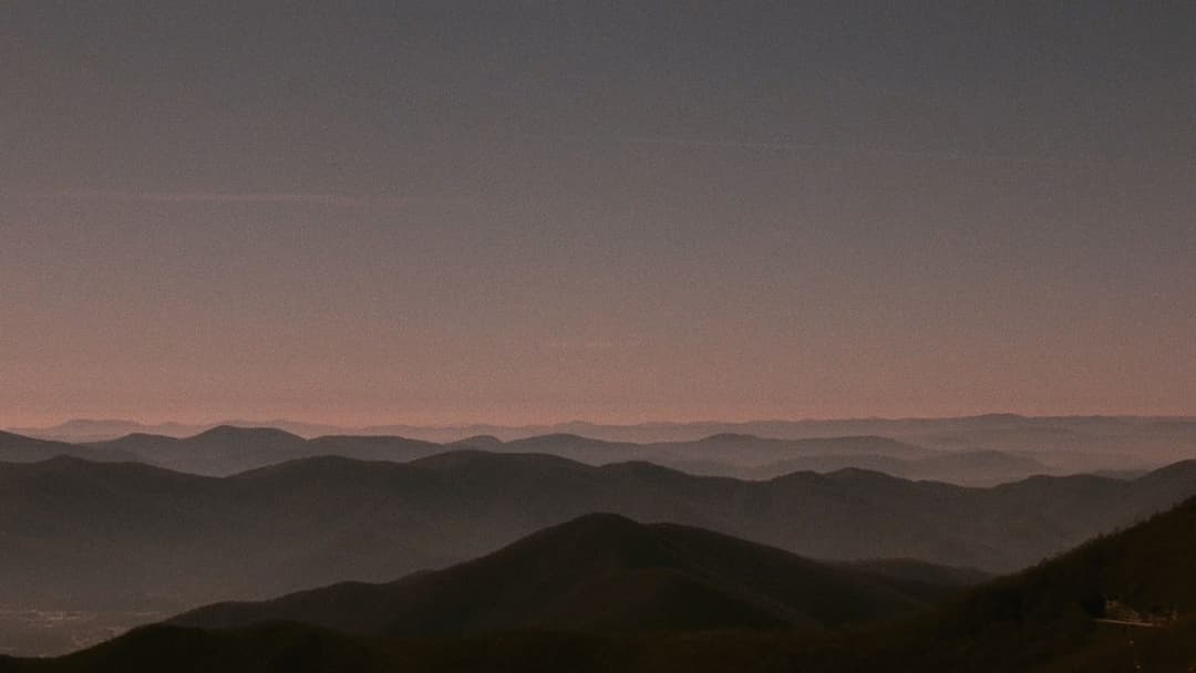 All the Real Girls backdrop 8