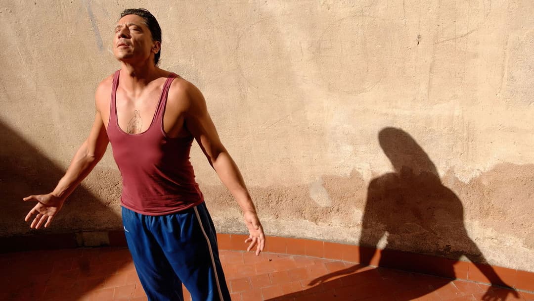 Cell 211 backdrop 12