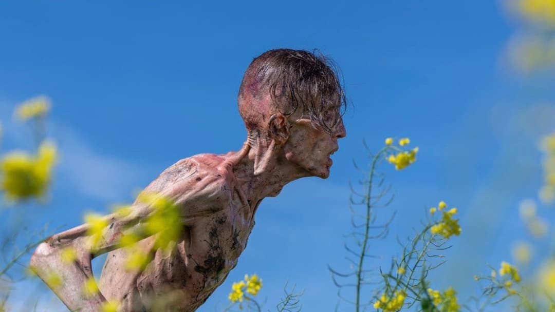 28 Years Later backdrop 7