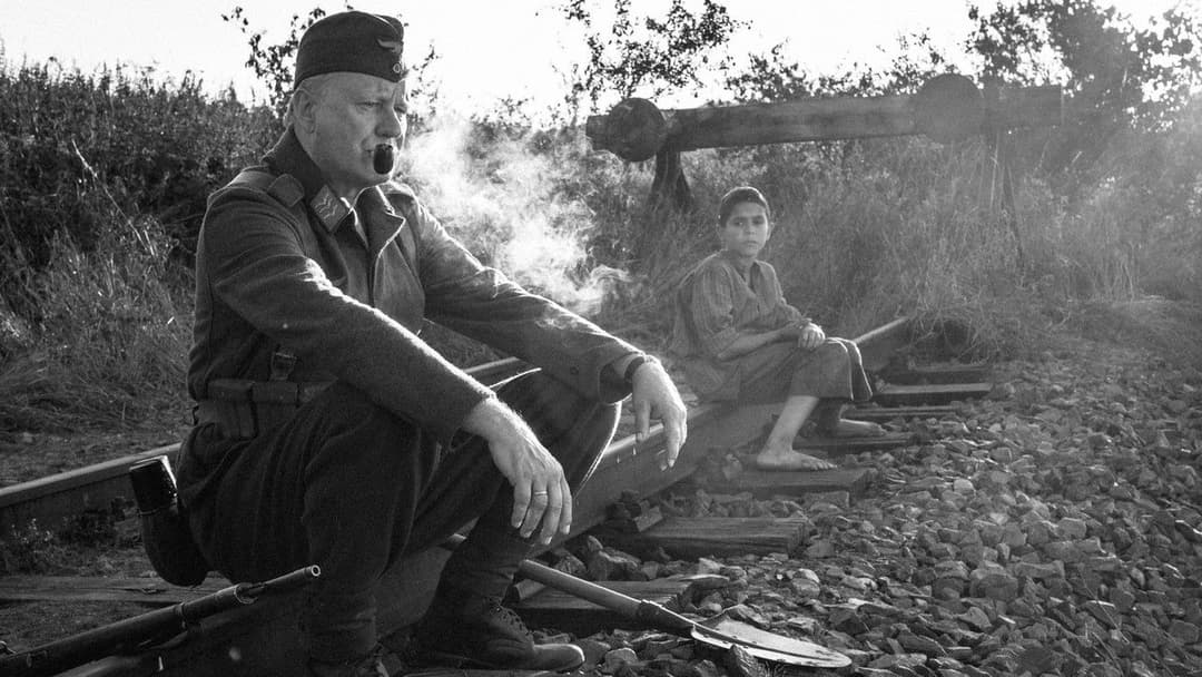 The Painted Bird backdrop 20