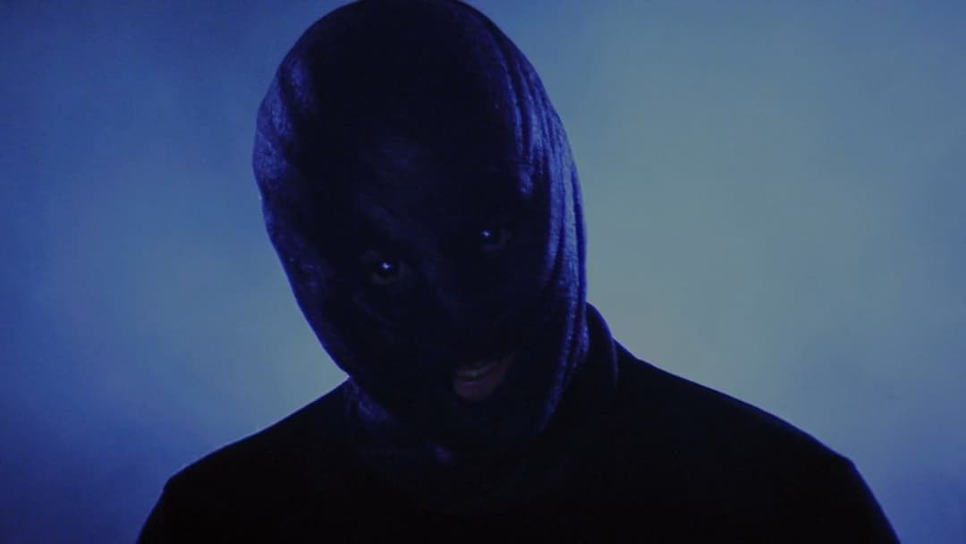 The Collection backdrop 2