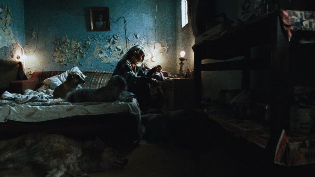 Amores perros backdrop 9