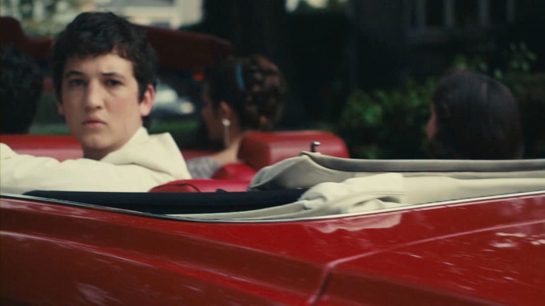 Rabbit Hole backdrop 14