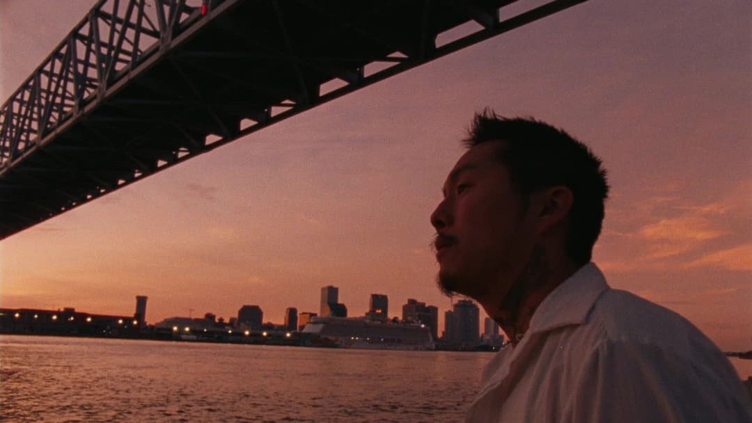 Blue Bayou backdrop 8