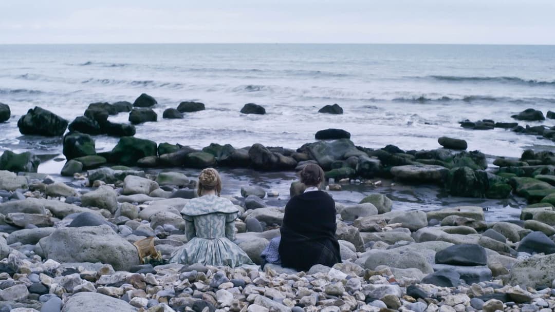 Ammonite backdrop 20