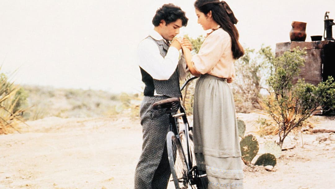 Como agua para chocolate backdrop 7