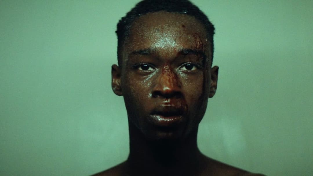 Moonlight backdrop 6