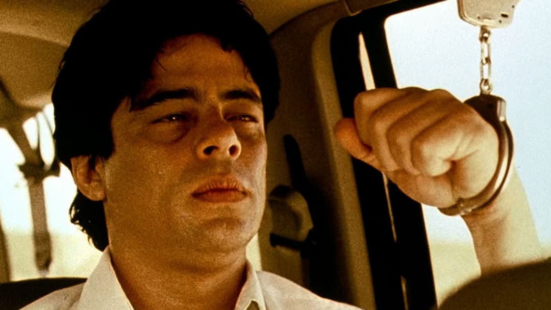 Трафік backdrop 18