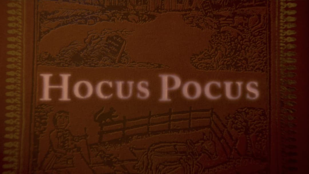 Hocus Pocus backdrop 14