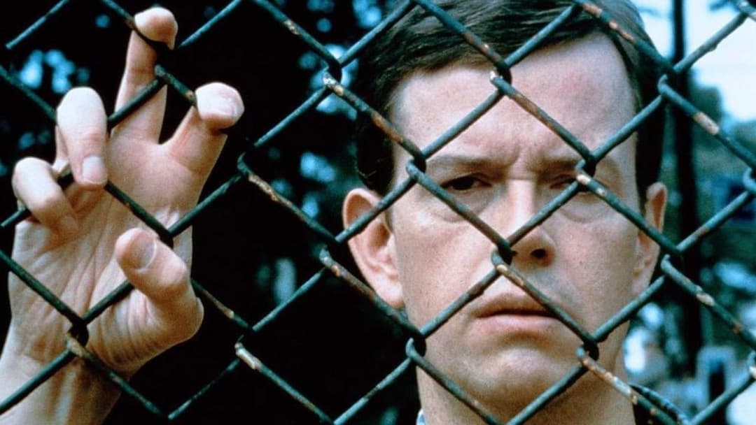 Щастя backdrop 9