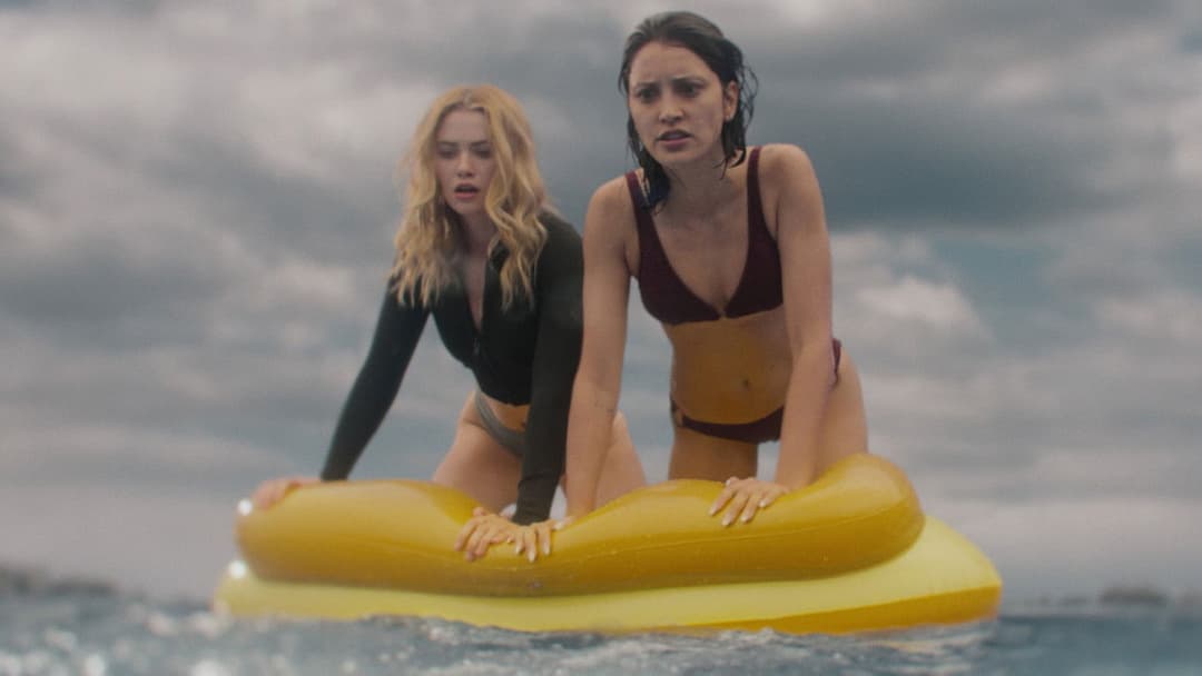 Killer Whale backdrop 4