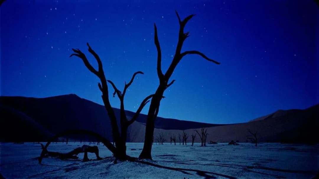 Самсара backdrop 4