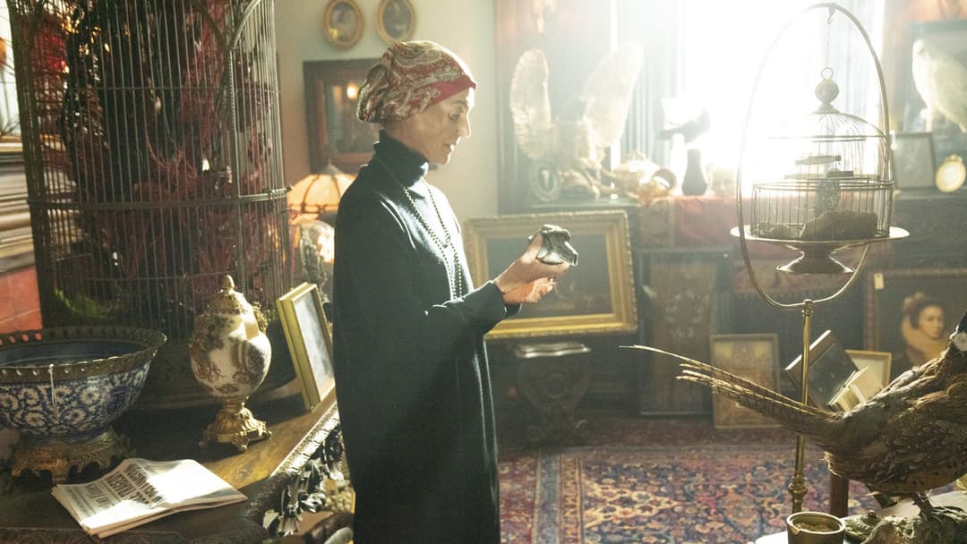 Свист backdrop 11