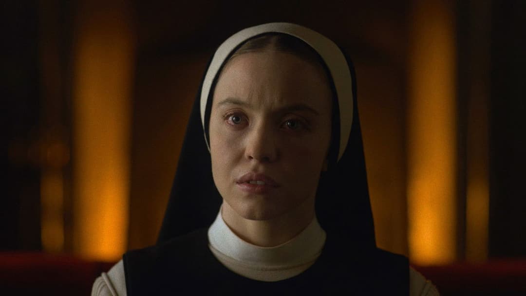 Immaculate backdrop 11