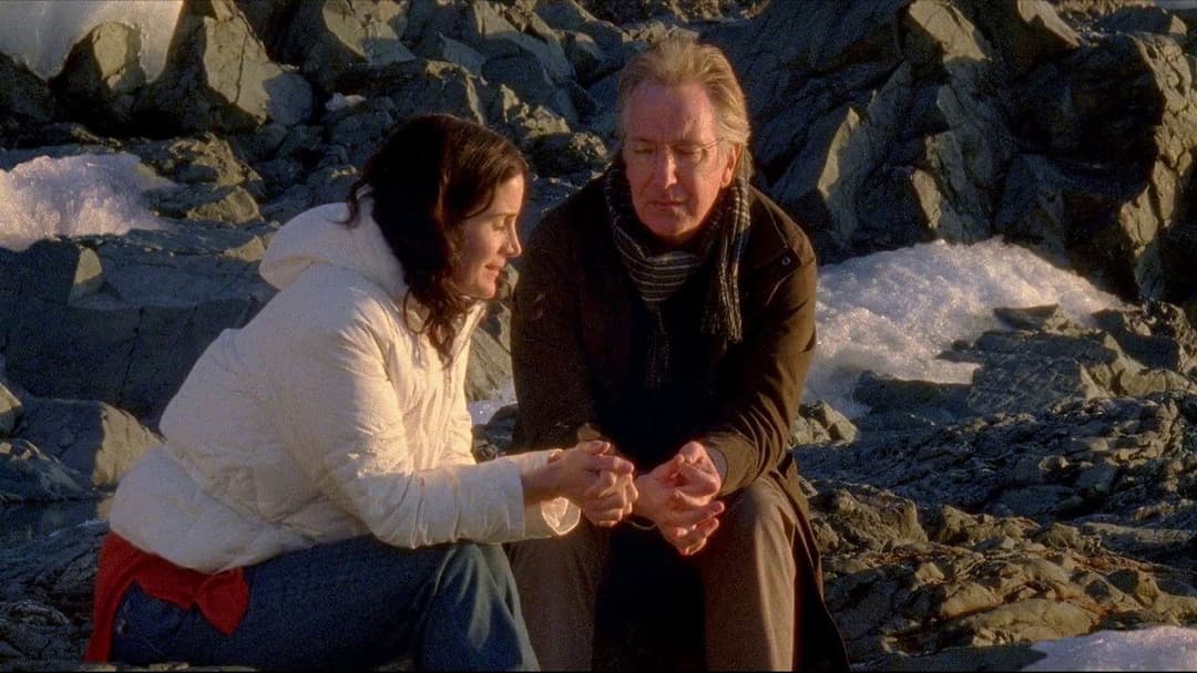 Snow Cake backdrop 2