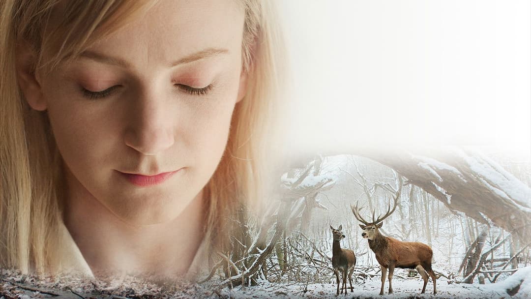 Körper und Seele backdrop 19