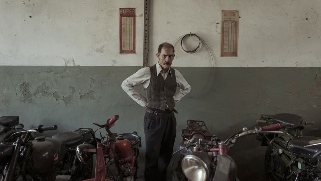 Hidden Away backdrop 5