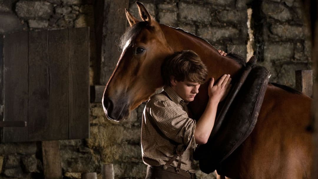 War Horse backdrop 11