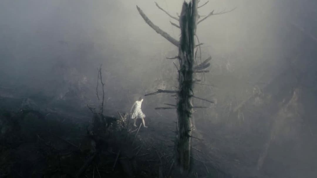 Антихрист backdrop 20