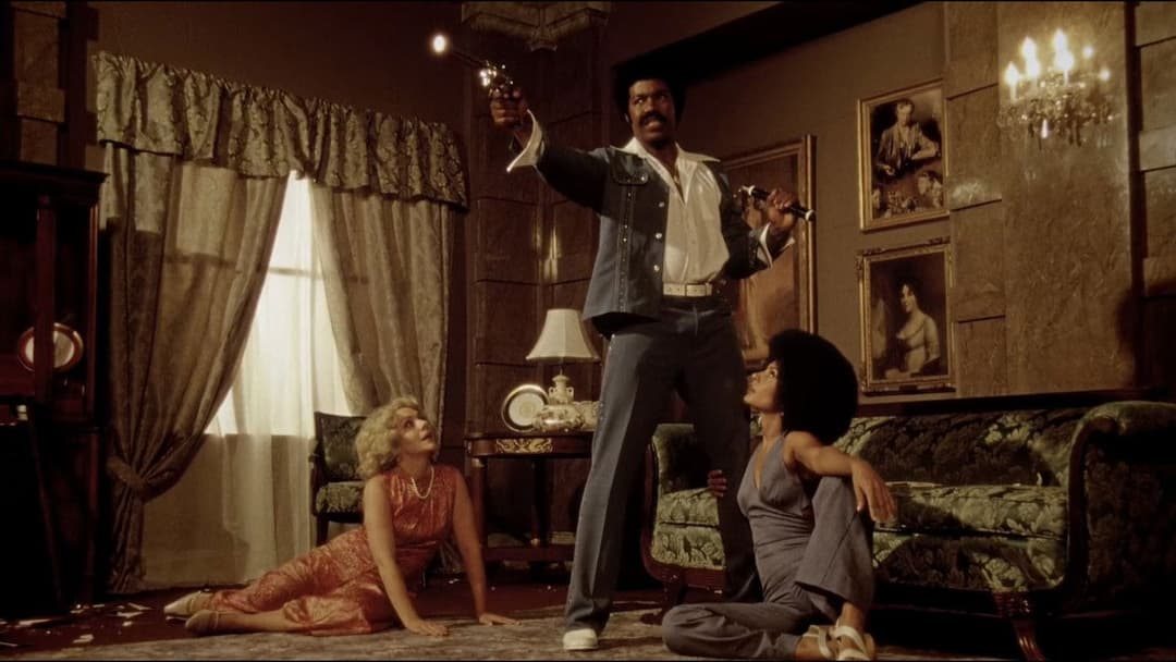 Black Dynamite backdrop 6