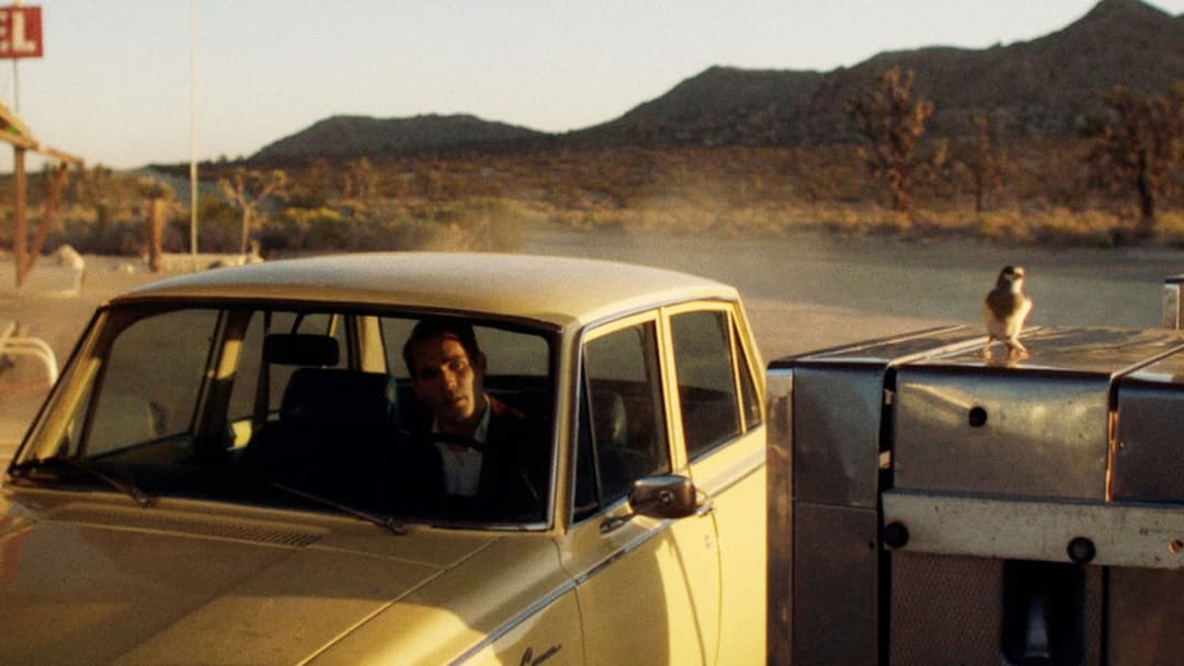 The Last Stop in Yuma County backdrop 5