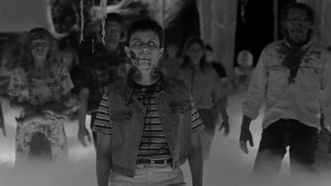 Нічний літун