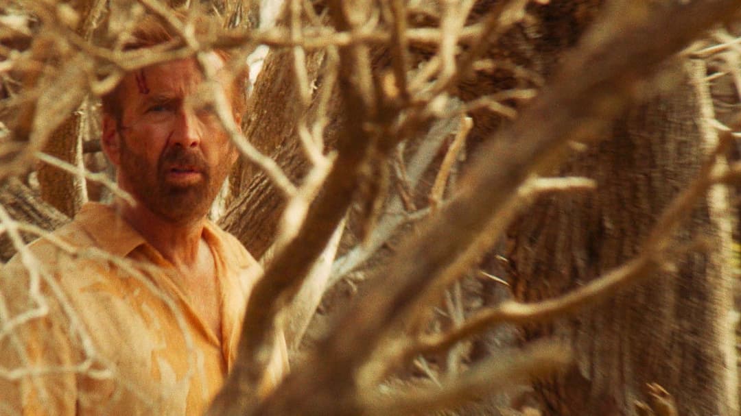 Серфер backdrop 6