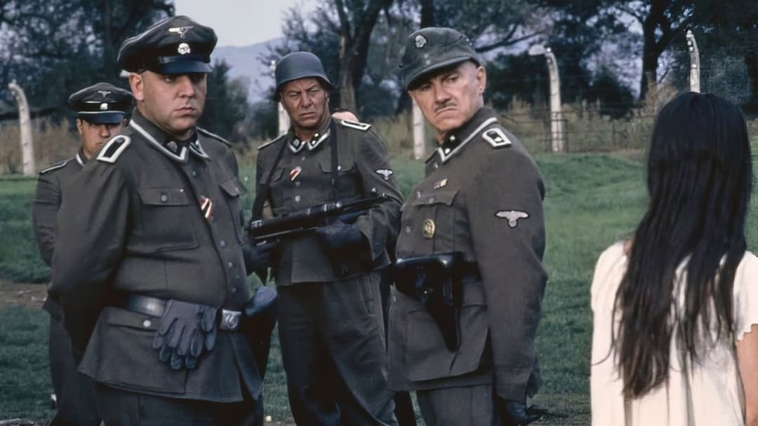 The Grey Zone backdrop 4