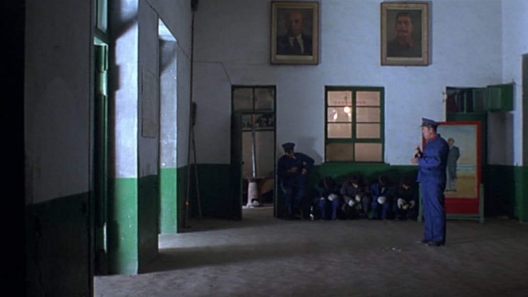 Platform backdrop 11