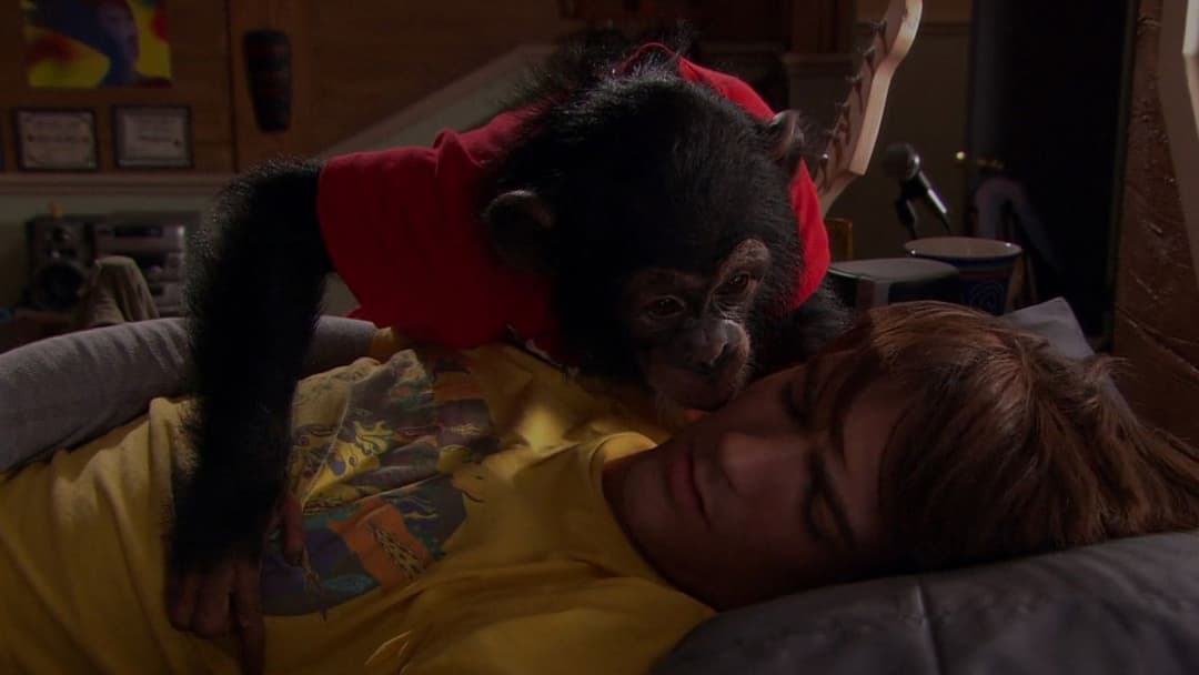 Merry Christmas, Drake & Josh backdrop 12