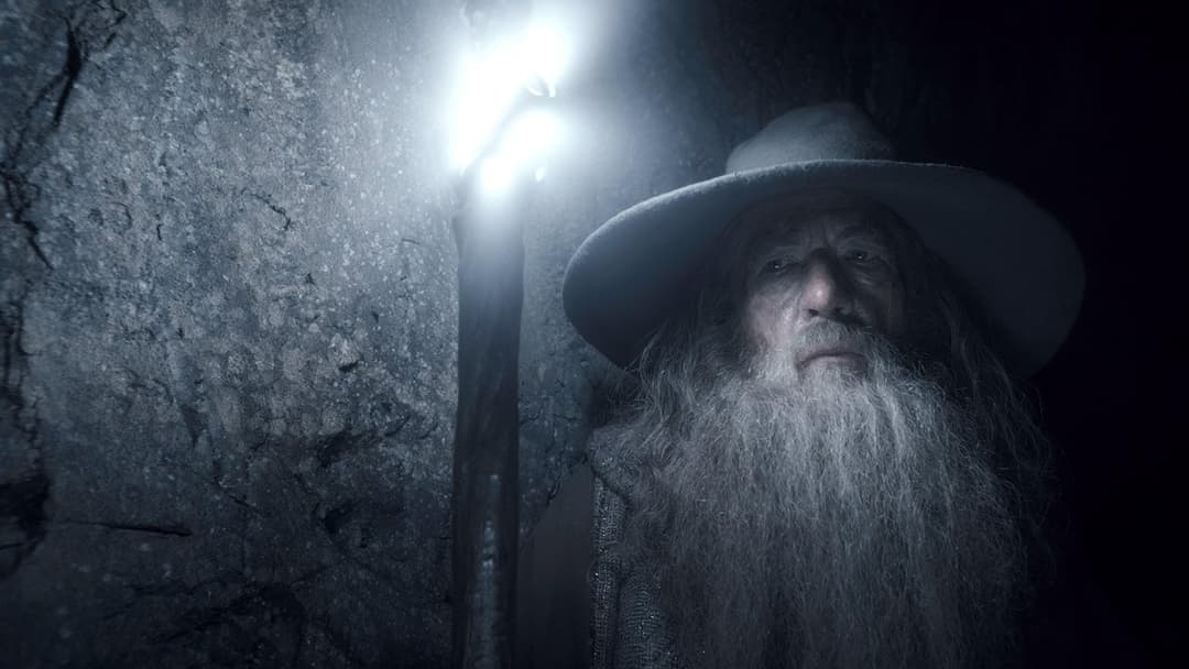 The Hobbit: The Desolation of Smaug backdrop 4