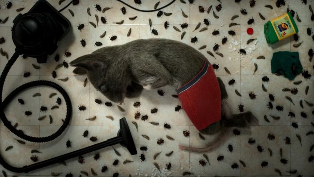 The House backdrop 7