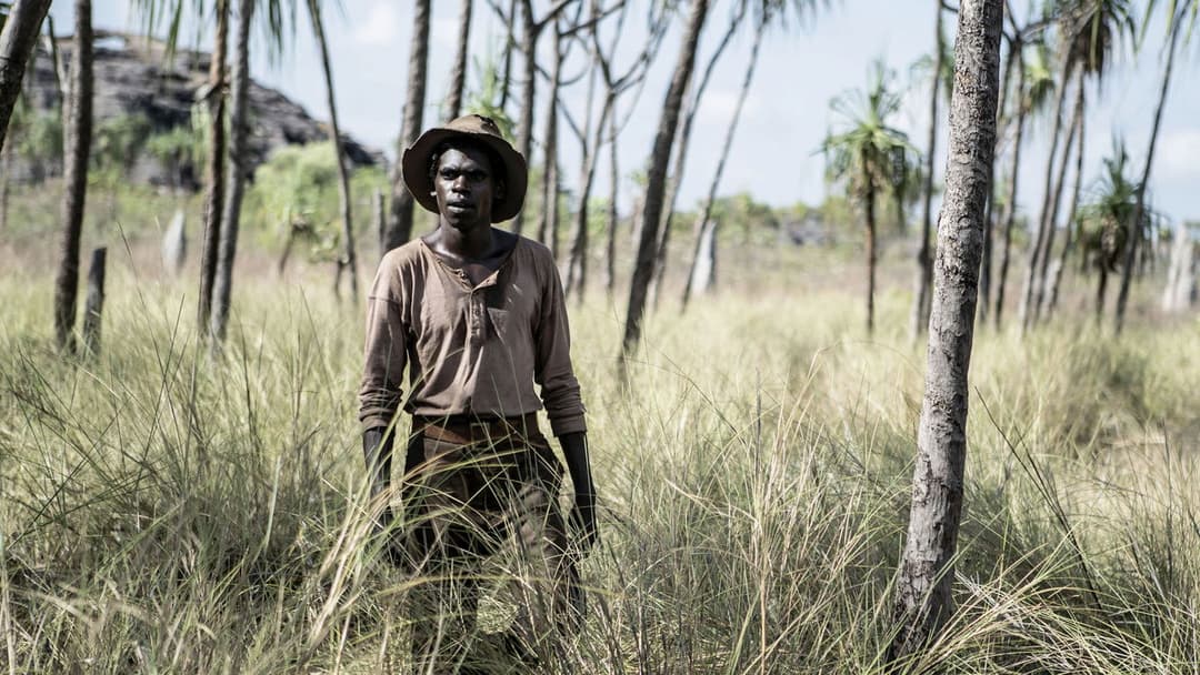 High Ground backdrop 16