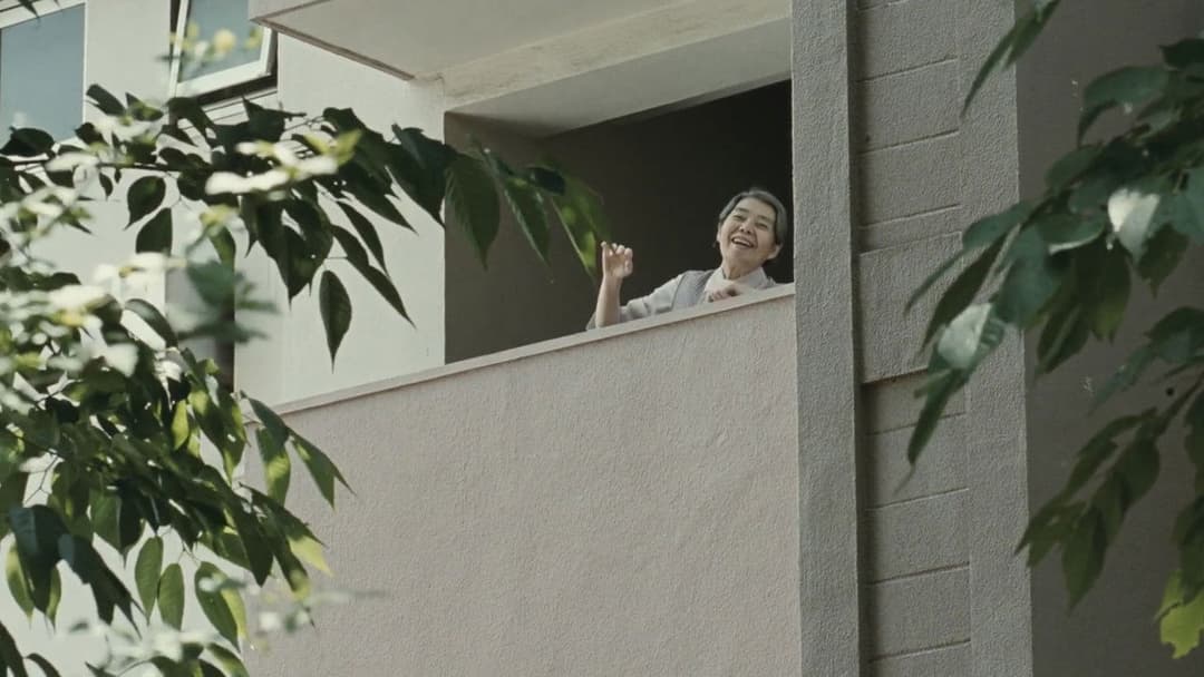 After the Storm backdrop 10