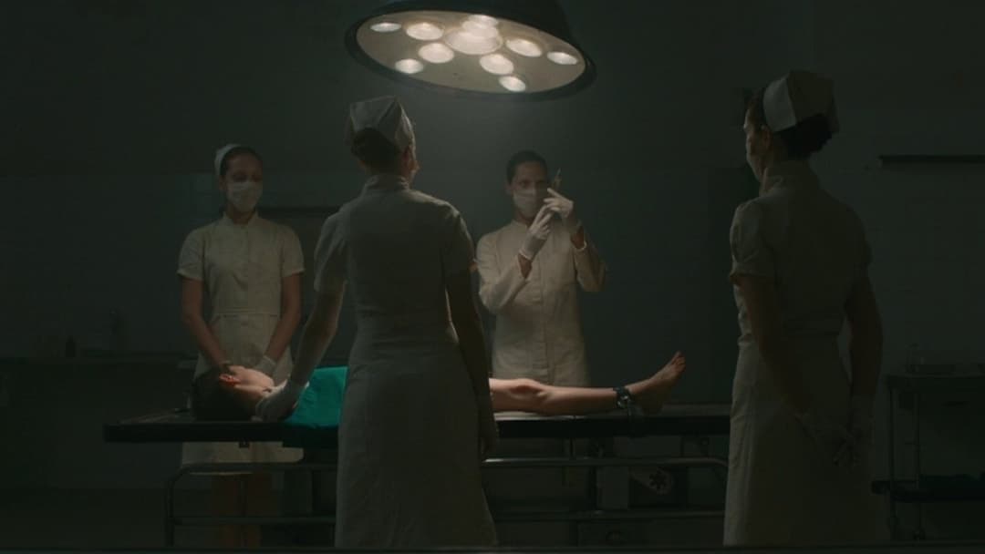 Evolution backdrop 8