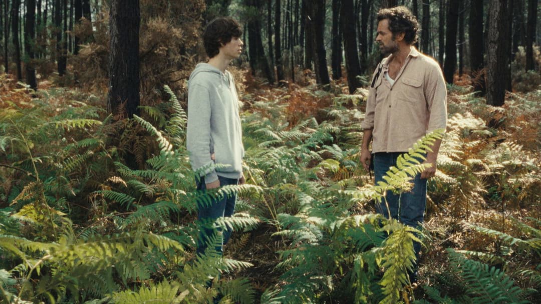 The Animal Kingdom backdrop 2